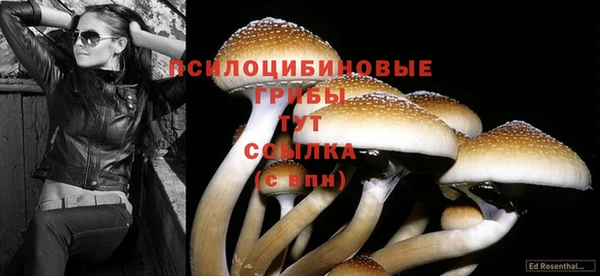 Альфа ПВП Дмитровск