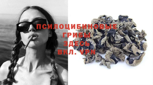 Альфа ПВП Дмитровск
