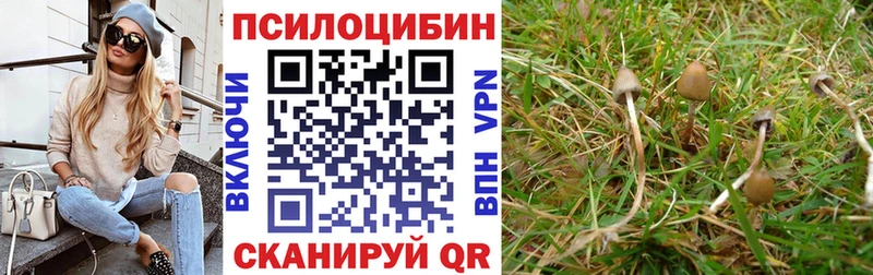 Псилоцибиновые грибы MAGIC MUSHROOMS Протвино