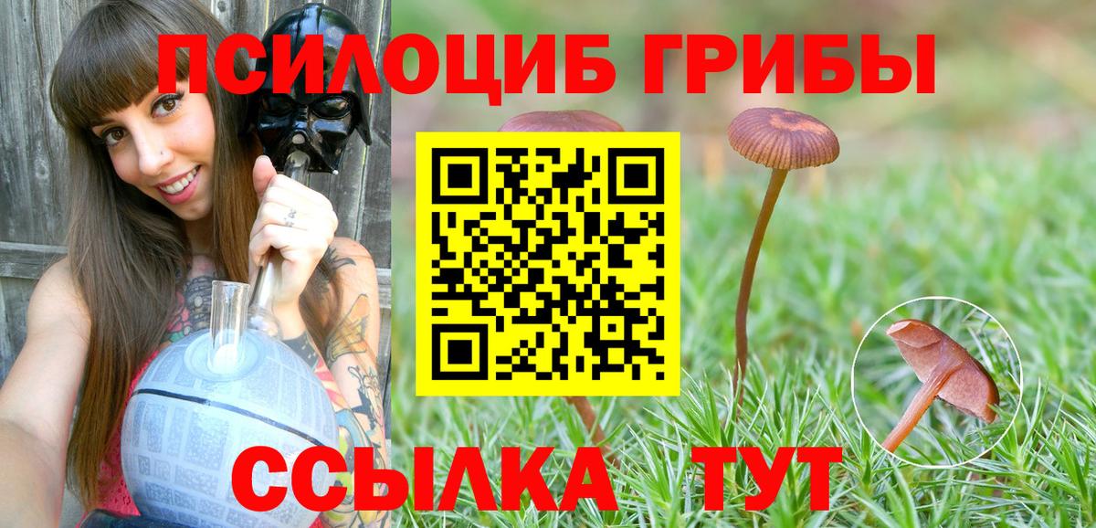 Протвино  Галлюциногенные грибы Magic Shrooms  Вход с VPN  Галлюциногенные грибы Psilocybe 